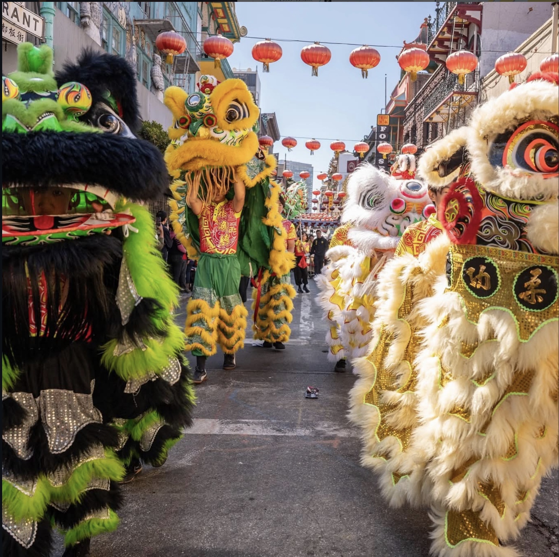 Happy Lunar New Year! 🧧 恭喜發財！新年快樂！ 🏮🏮🎉